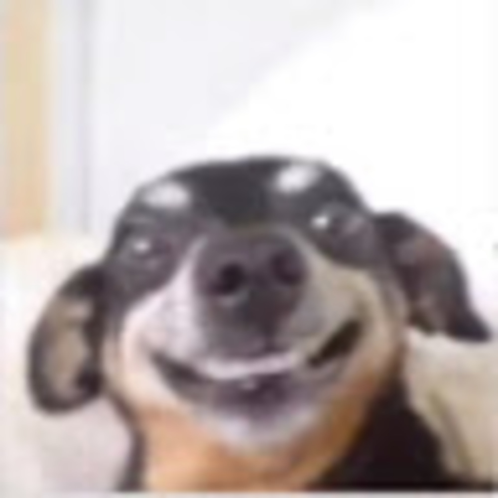 Meet your Posher, Ericka